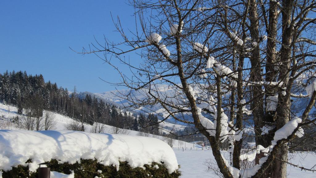 Ramseiderhof Leilighet Saalfelden Eksteriør bilde